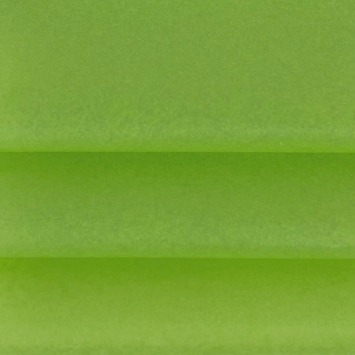 Seidenpapier grün